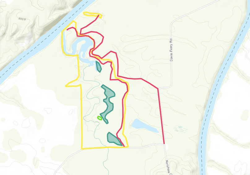 Zscreen shot 2019-11-05 at 5.49.14 am