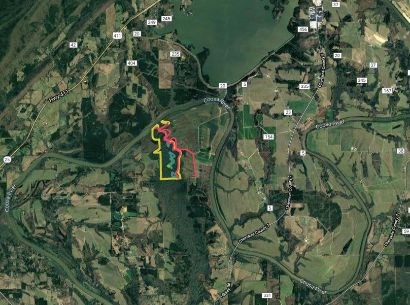 Zscreen shot 2019-11-05 at 5.49.35 am