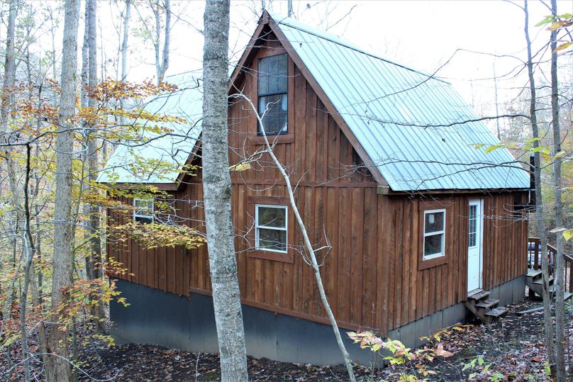 007 view of the back of the cabin facing south