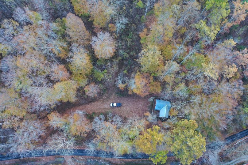004 drone shot from directly overhead of the cabin, driveway and proximity to blacktop county road