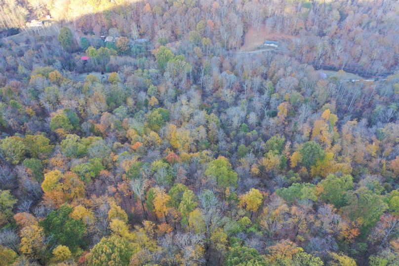 008 drone shot from the east boundary looking to the west down the slope toward the cabin and road