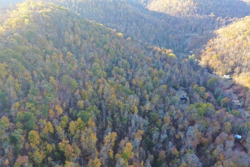 010 drone shot from the north boundary looking to the south, up the valley