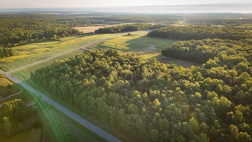 Copy of Wood Tract 4 Photo 5