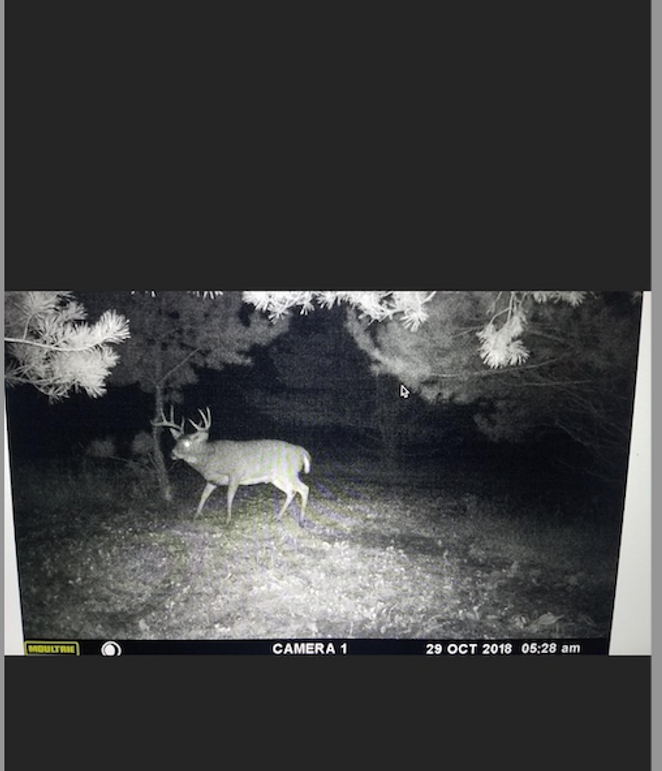 Screen Shot 2024-03-18 at 3.07.42 PM