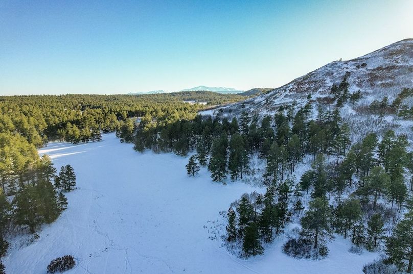 027 Winter Main Meadow