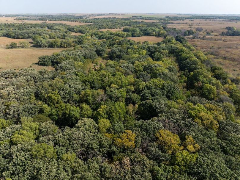 20240913-DJI_20240913110206_0138_D