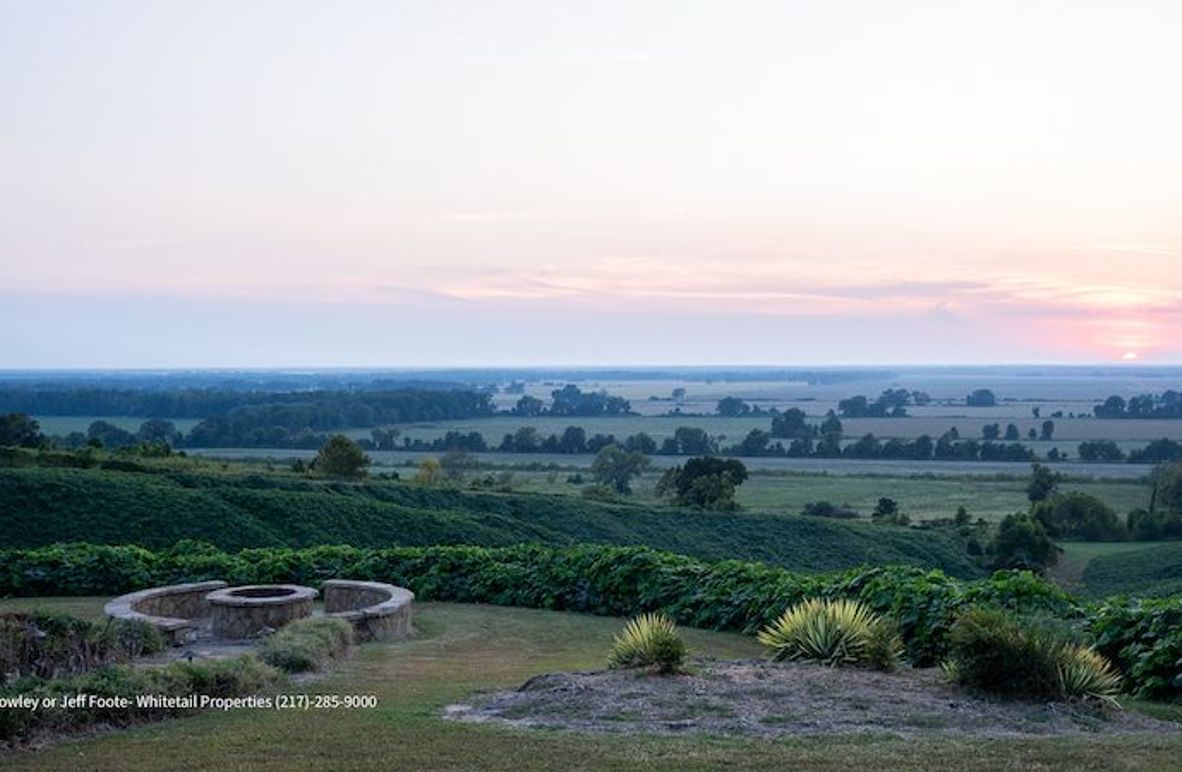 Tallahatchie 847 Messina-02