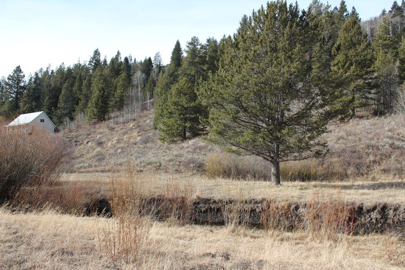 Middle property looking southwest to neighbor property