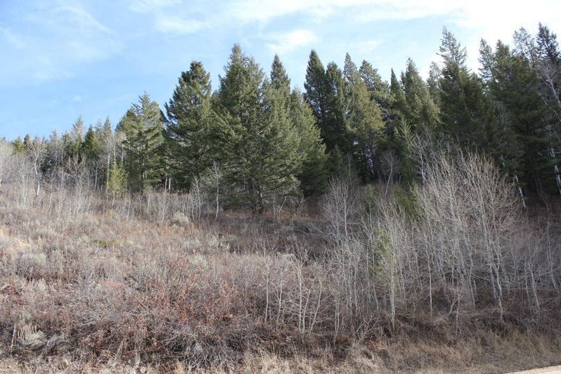 N property line w side of road 180 degree1