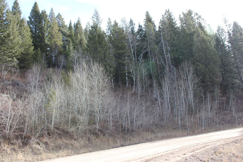 N property line w side of road 180 degree2