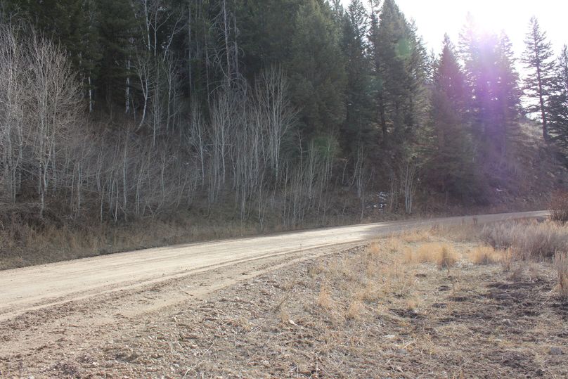 N property line w side of road 180 degree3