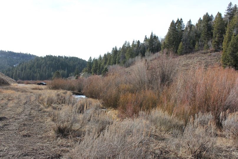 N property line w side of road 180 degree6