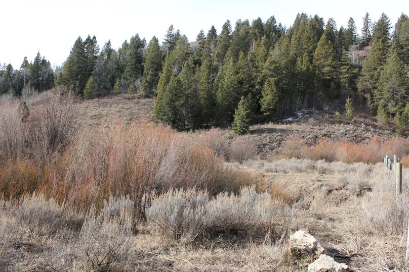 N property line w side of road 180 degree7