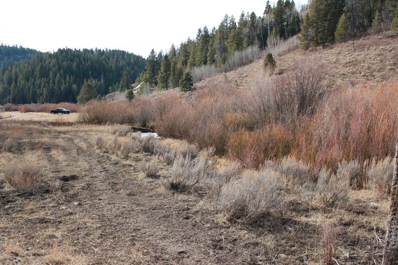 North property by road looking south