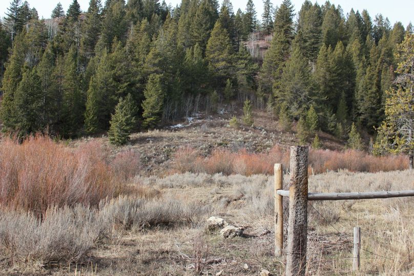 North property line looking west