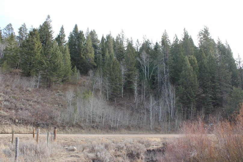 North property line looking east across the road