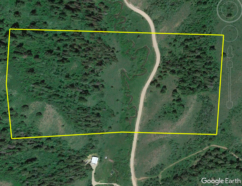 Aeriel bingham co. 20