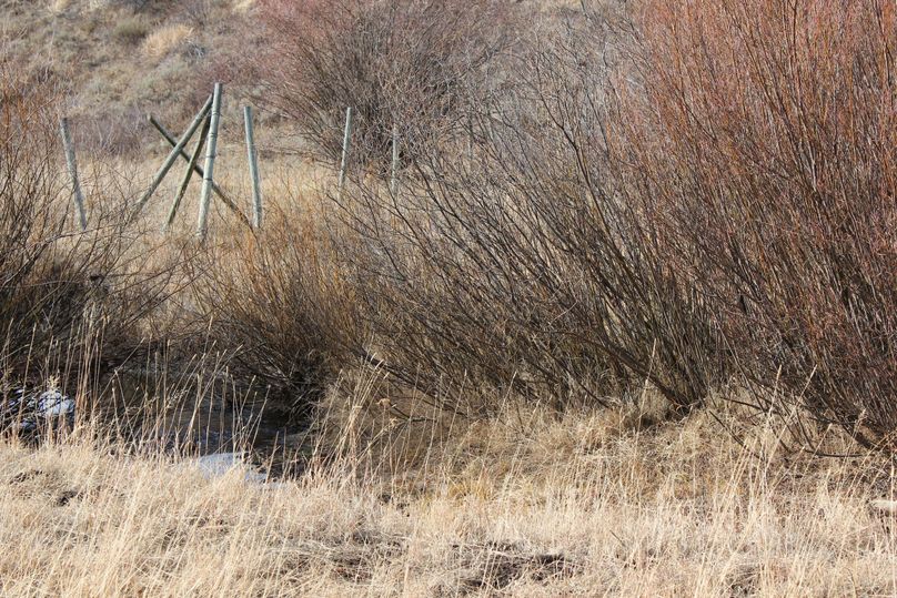 S property line w middle of the road 180 degree1