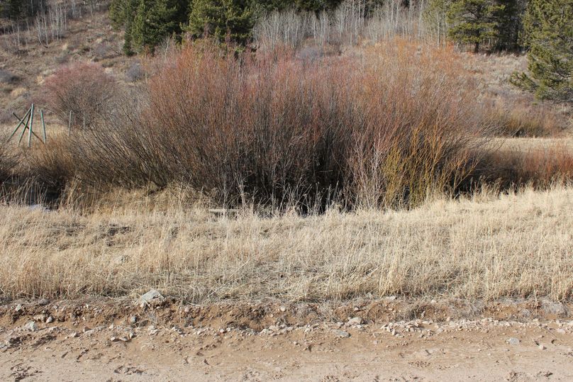 S property line middle of the road 180 degree2