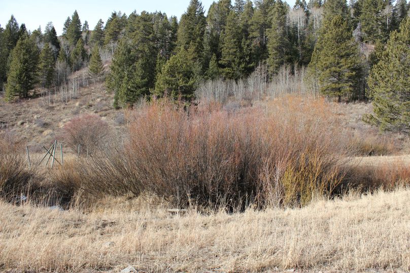 S property line middle of the road 180 degree3