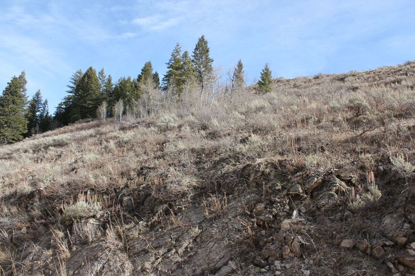 S property line middle of the road 180 degree7