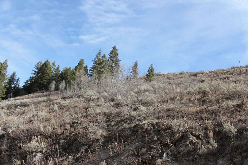 S property line middle of the road 180 degree8