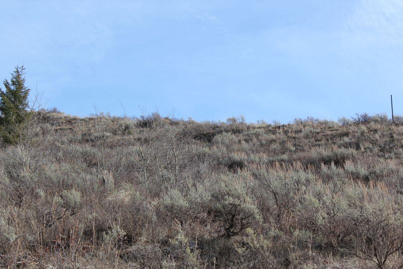 Southern property line marker