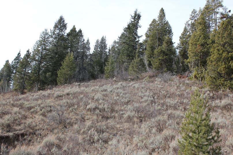 West side of property