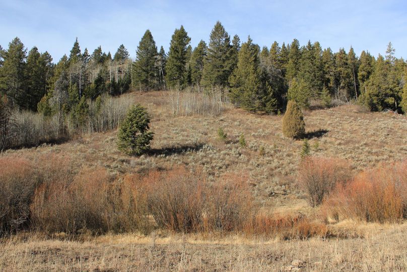 West side of sellars creek rd