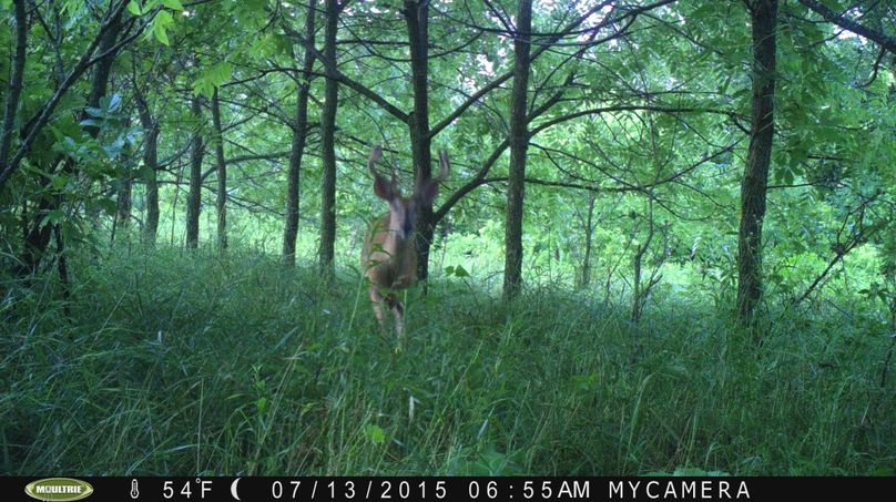 7-13-15  8 point cals stand tr