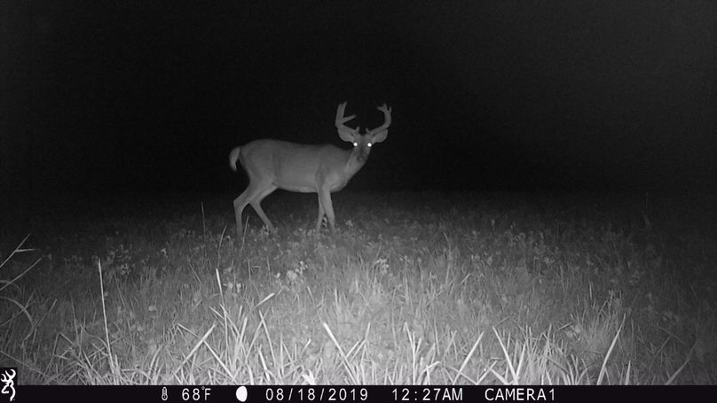 8-18 erics pond 9pt 2