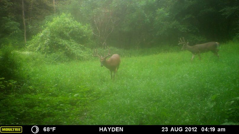 8-23 val big 10  lefty