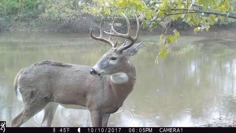 10-10 erics pond 9pt