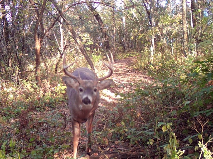 10-18-2015 spot chriss stand