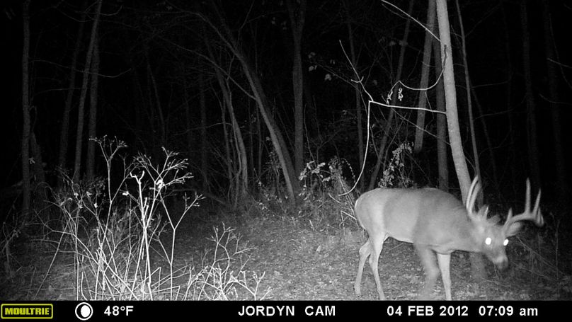 10-23-2015 old no. 10 valley tr