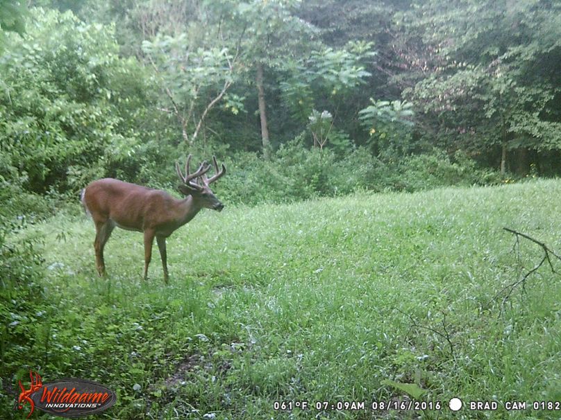 August 16 2nd odd rack-2