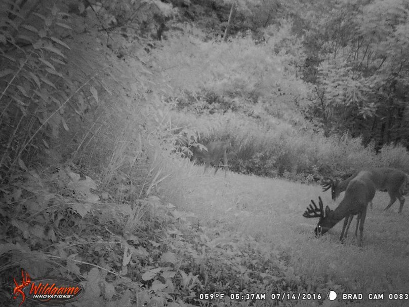 July 14 valley 10 pt