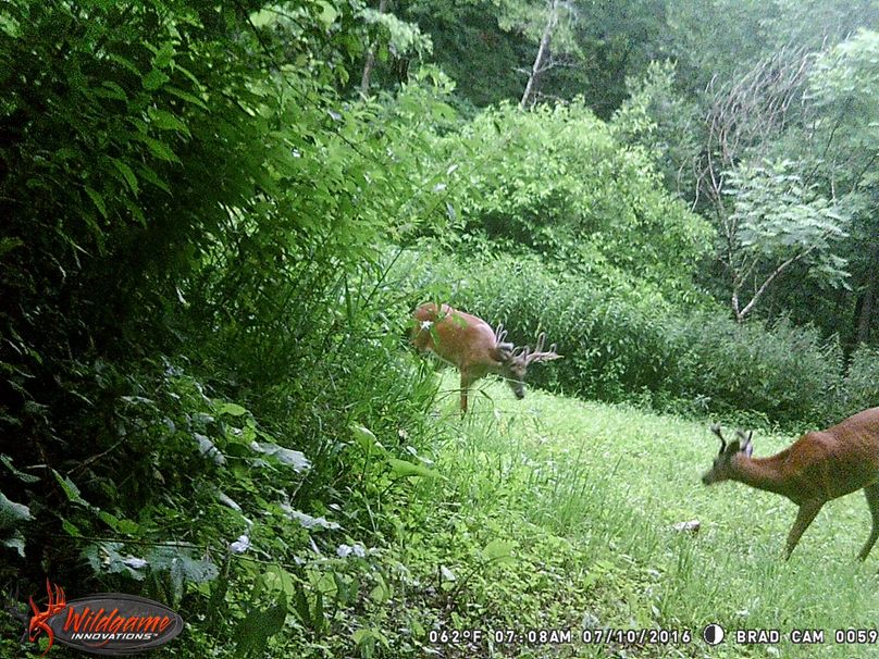 July 10 valley nice 8