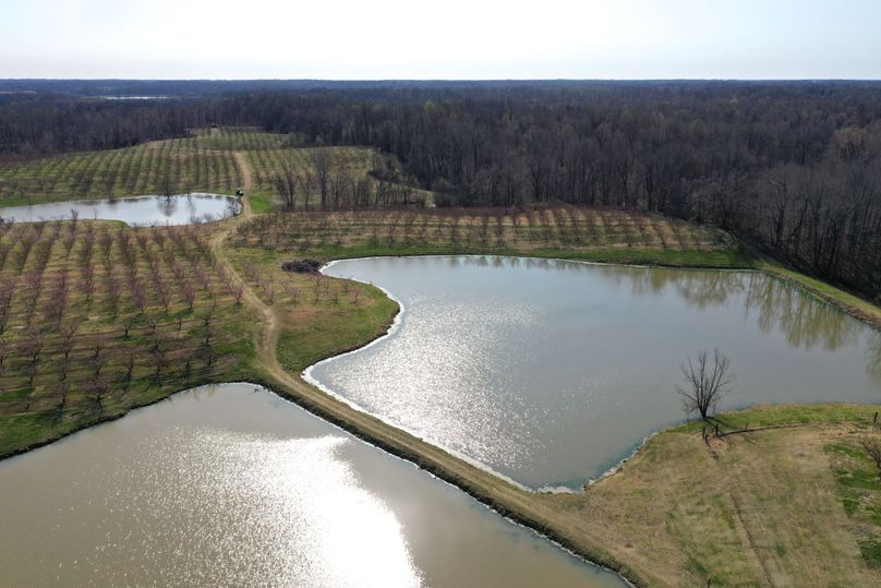 Obiontn tract 1-0074