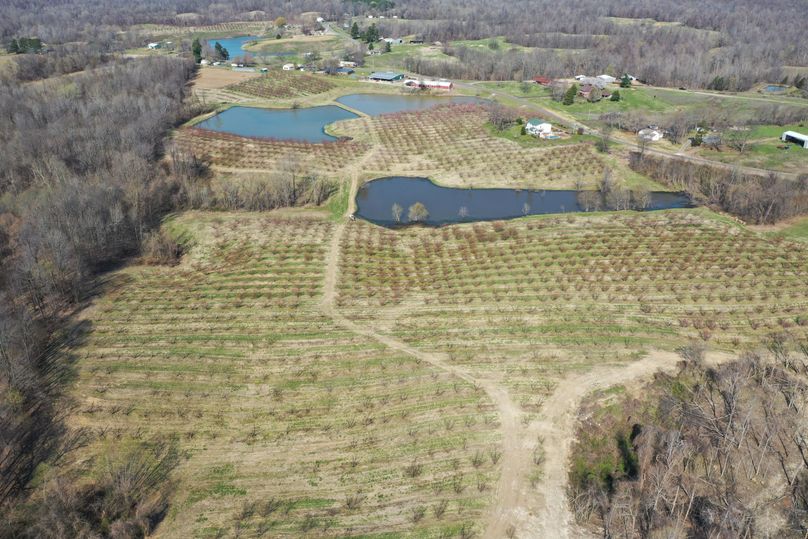 Obiontn tract 1-0082