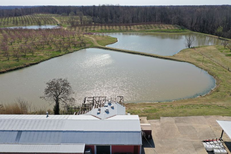 Obiontn tract 1-0104