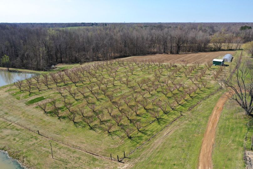 Obiontn tract 1-0113