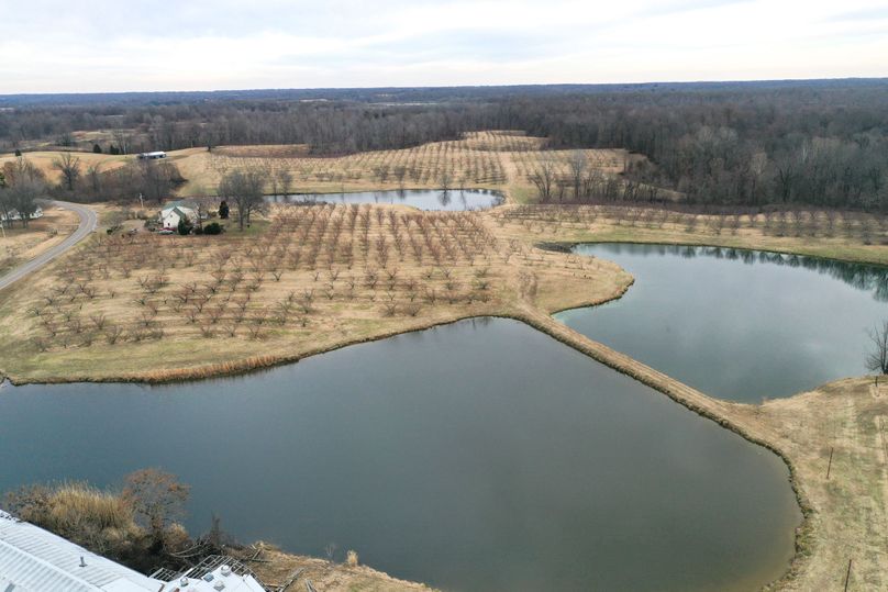 Obiontn tract 1-0221