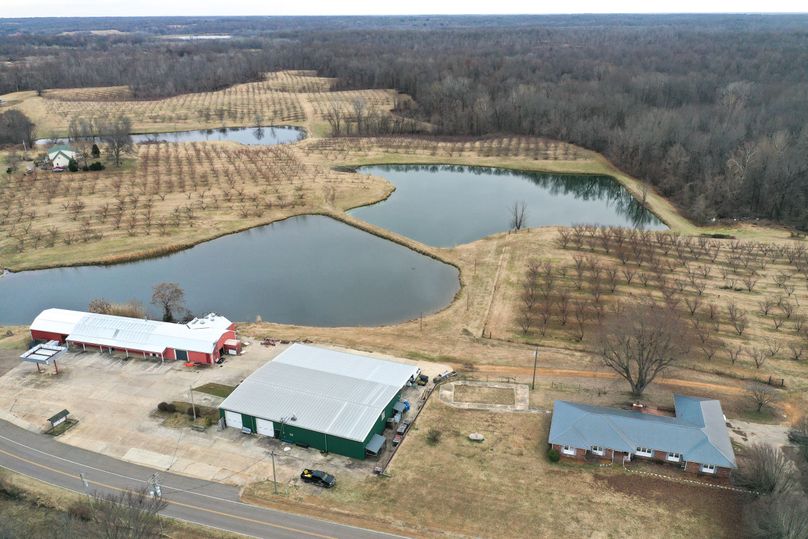 Obiontn tract 1-0223