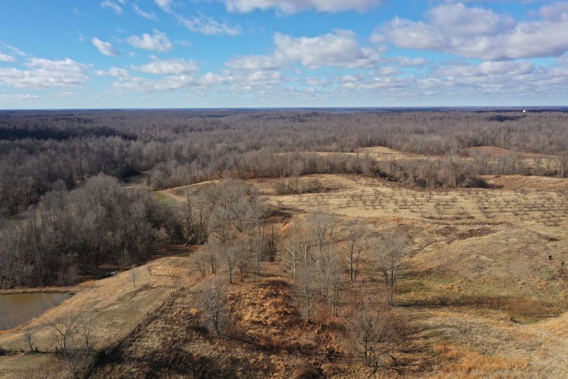 Obiontn tract 2-0332