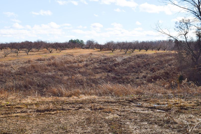 Obiontn tract 2-0748