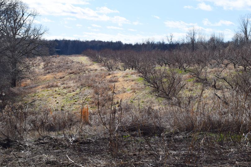 Obiontn tract 2-0750