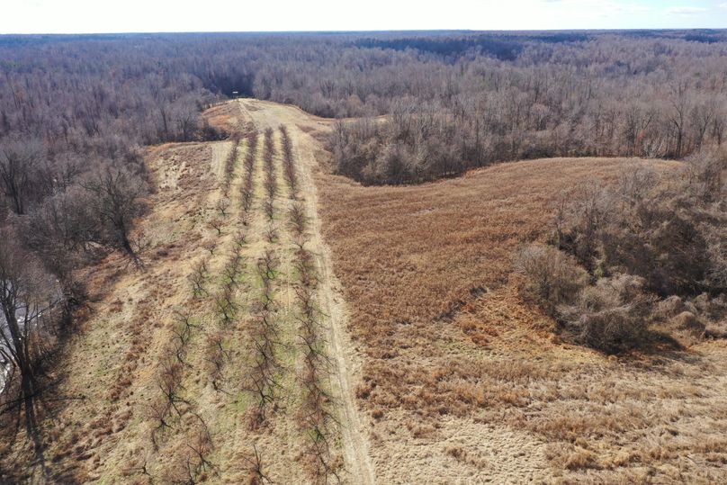 Obiontn tract 3-0334