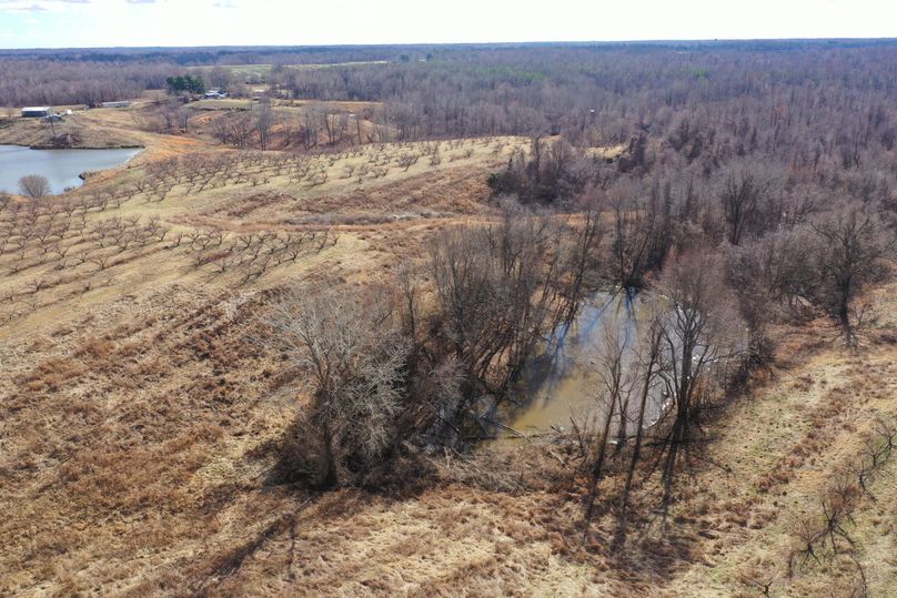 Obiontn tract 3-0335