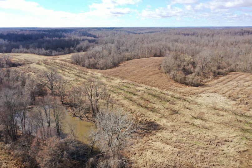 Obiontn tract 3-0336